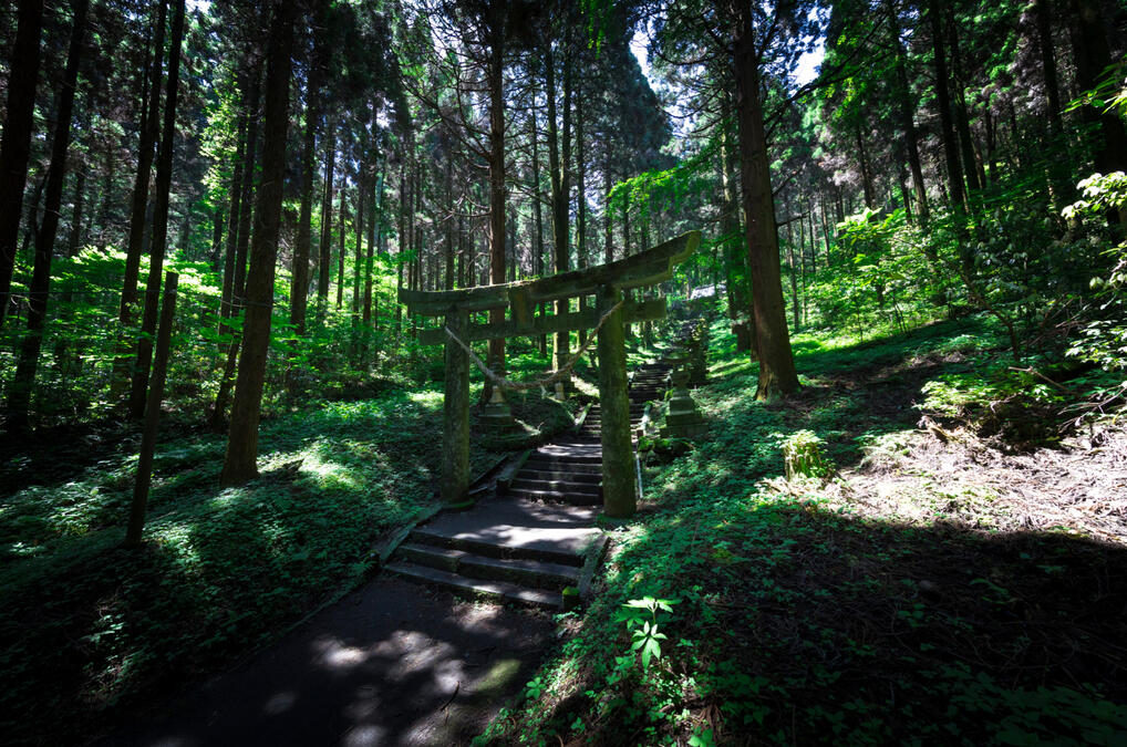 Ambiance ref : photography of Kamishikimi Kumanoimasu Shrine.
